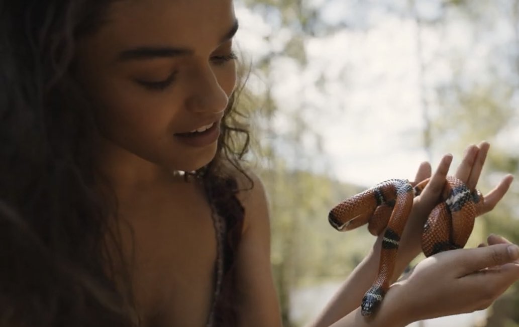 Igrzyska śmierci: Ballada ptaków i węży